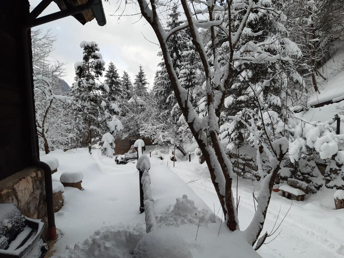 Ferienhaus Blommers Палфау Екстериор снимка